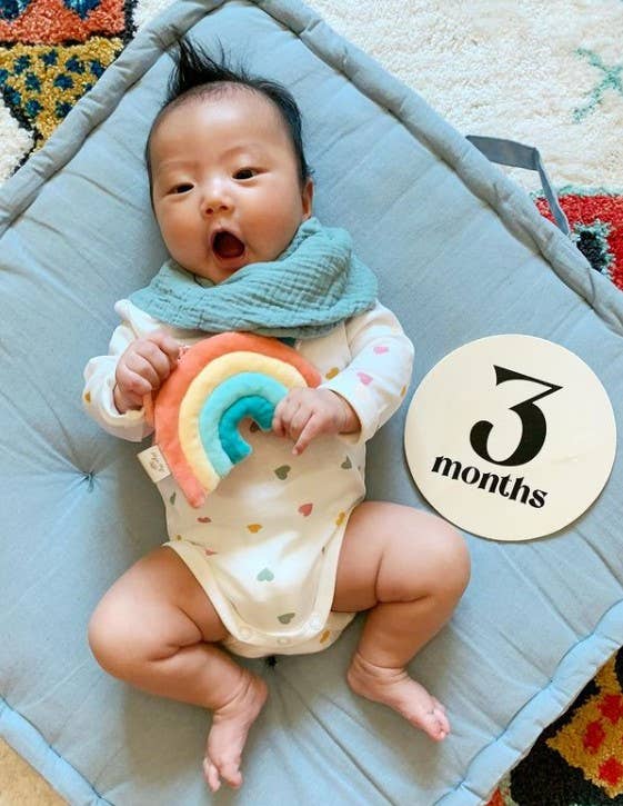 Itzy Pal™ Plush + Teether: Mushroom