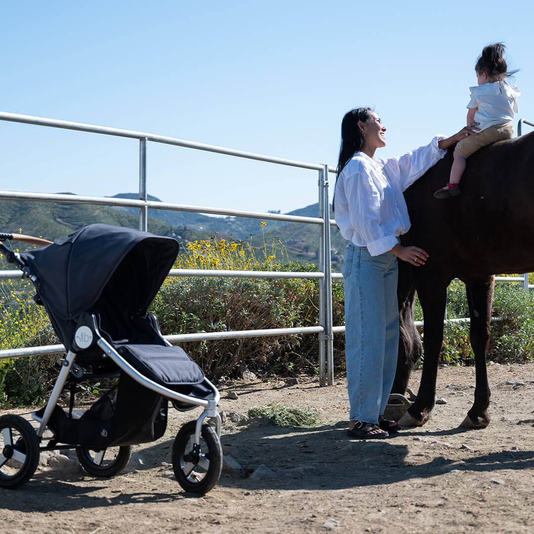 Indie All-Terrain Stroller