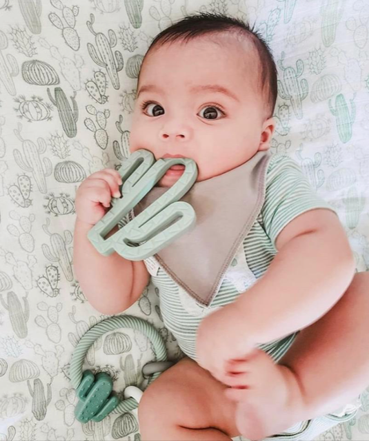 Ritzy Rattle™ Silicone Teether Rattles