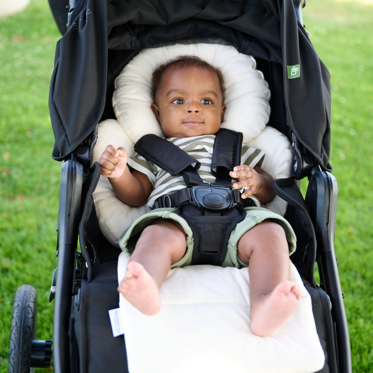 Organic Cotton Infant Insert