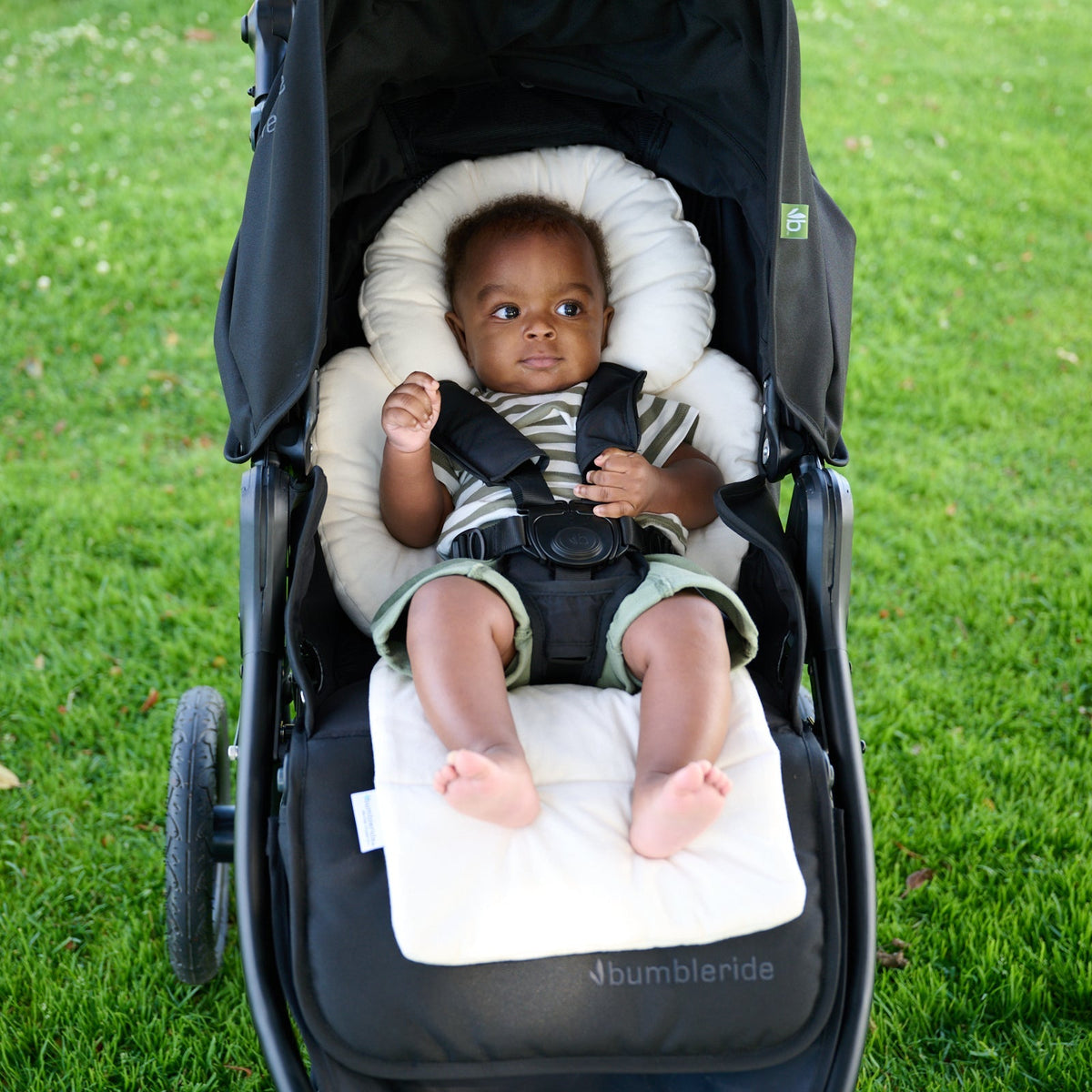Organic Cotton Infant Insert