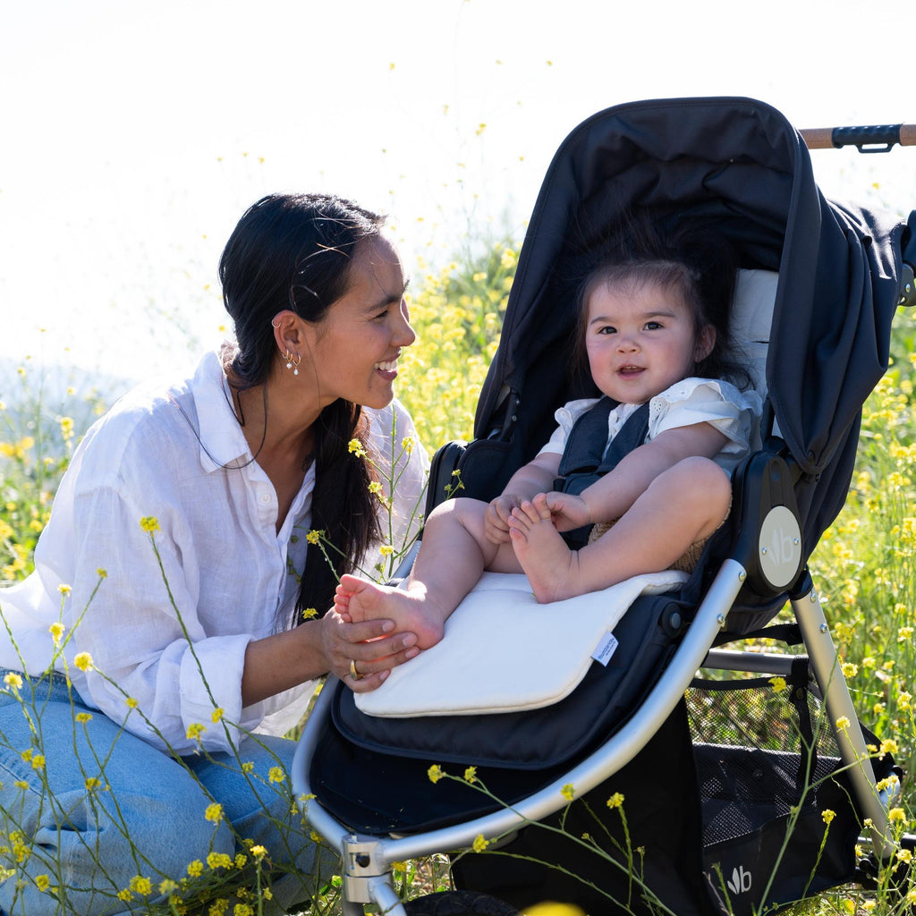 Indie All-Terrain Stroller