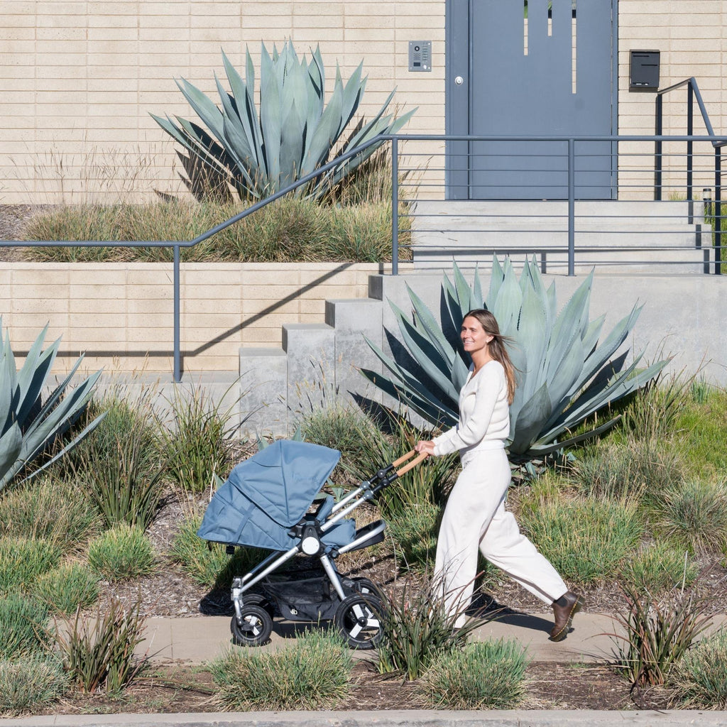 Era Full-Size Reversible Stroller