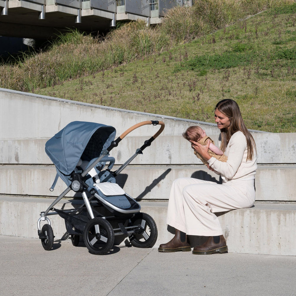 Era Full-Size Reversible Stroller