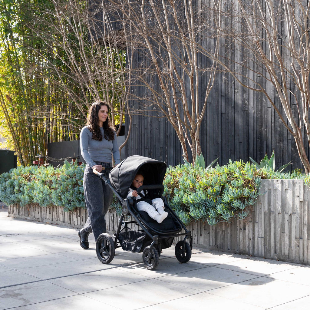 Era Full-Size Reversible Stroller