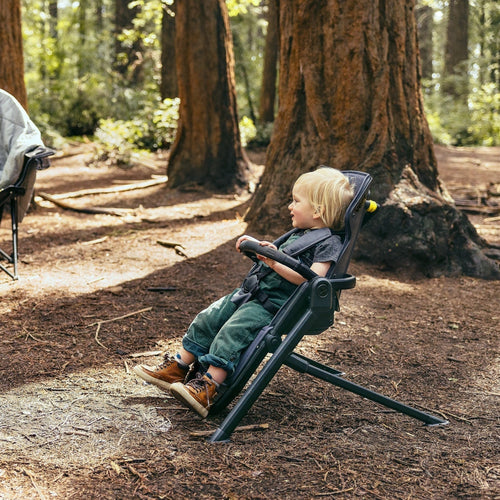 &Chill Frame for Switchback Seat