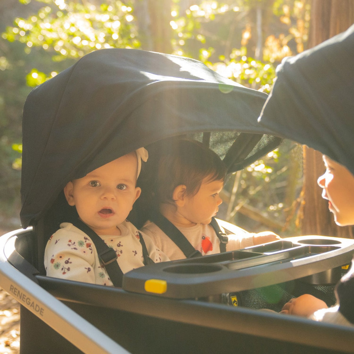 Renegade Canopy Kit (Set of 2)