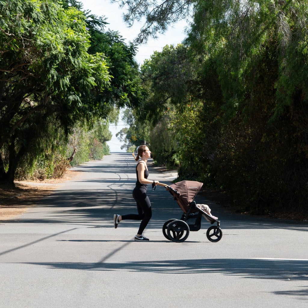 Bumbleride Speed Stroller