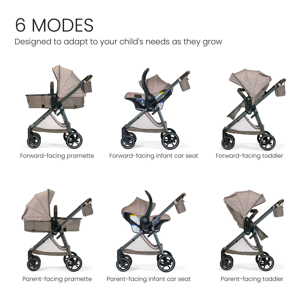 Phases Travel System with Arbor Infant Car Seat + StayTight Base