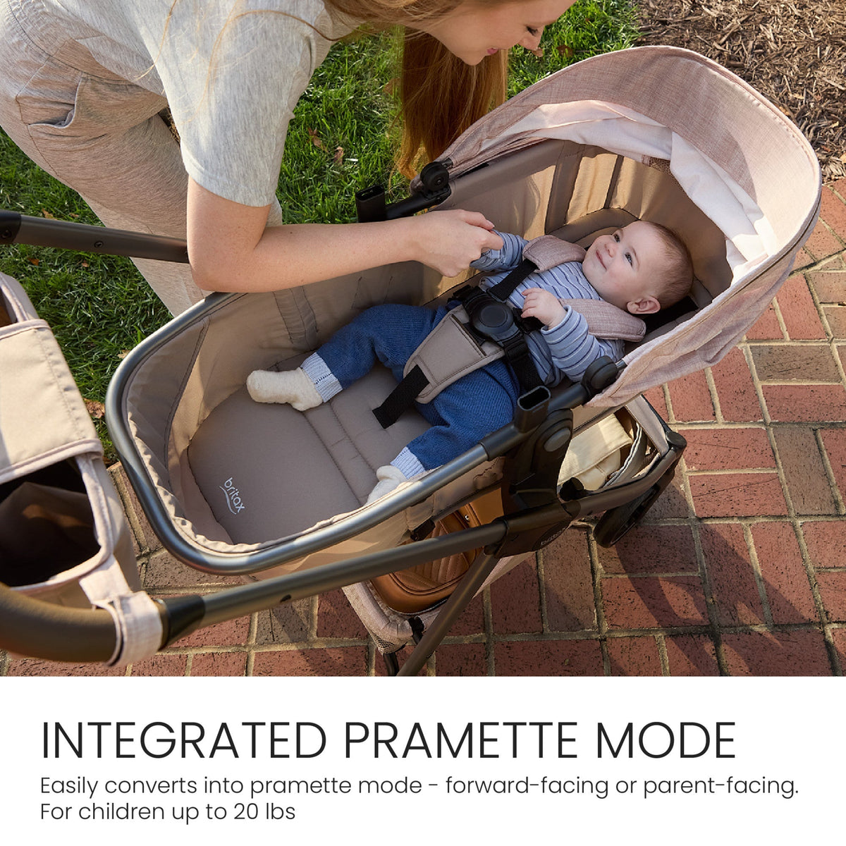 Phases Travel System with Arbor Infant Car Seat + StayTight Base