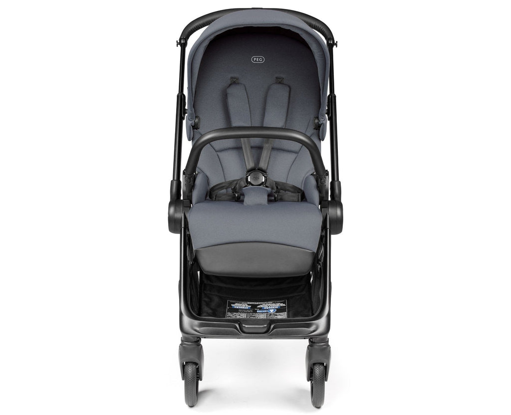 Switch Modular Stroller with Reversible Handle