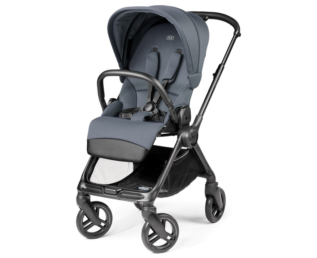 Switch Modular Stroller + Primo Viaggio Nido Car Seat