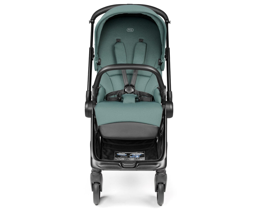 Switch Modular Stroller with Reversible Handle