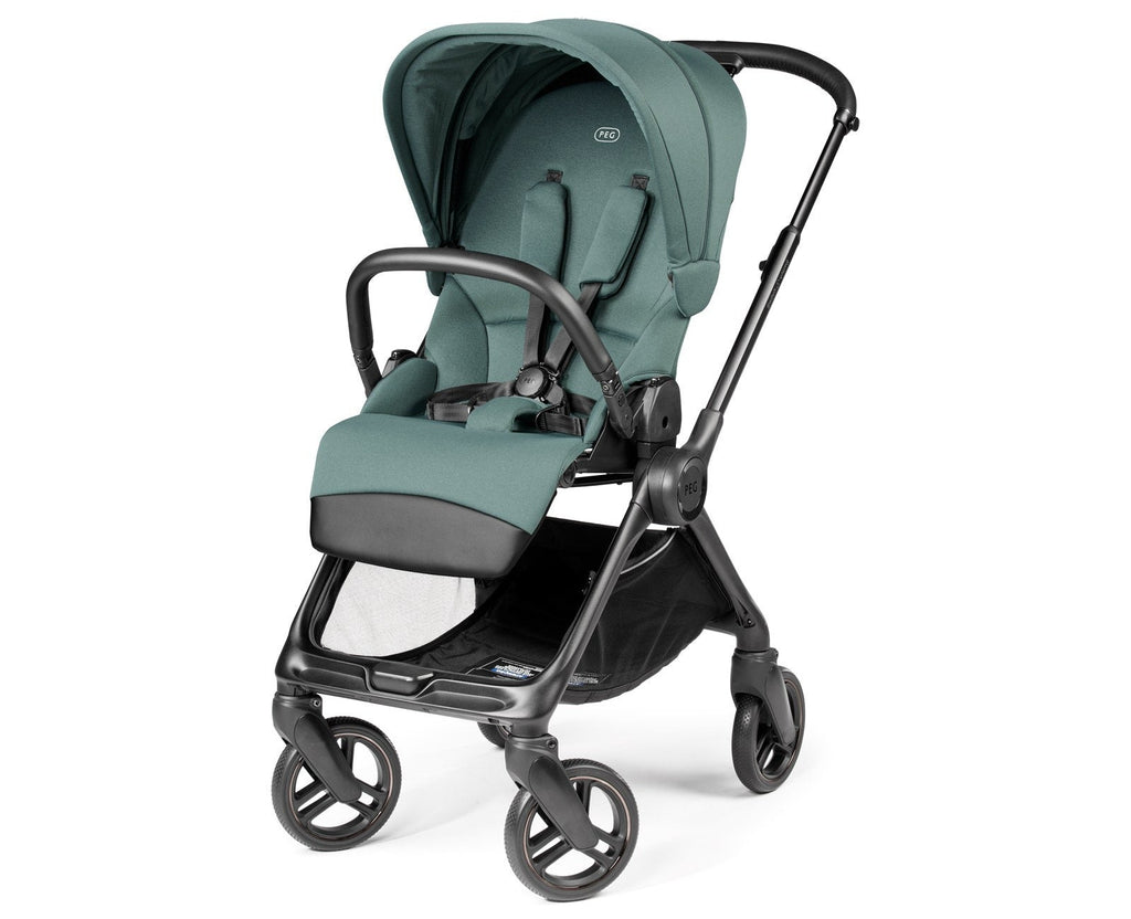 Switch Modular Stroller with Reversible Handle