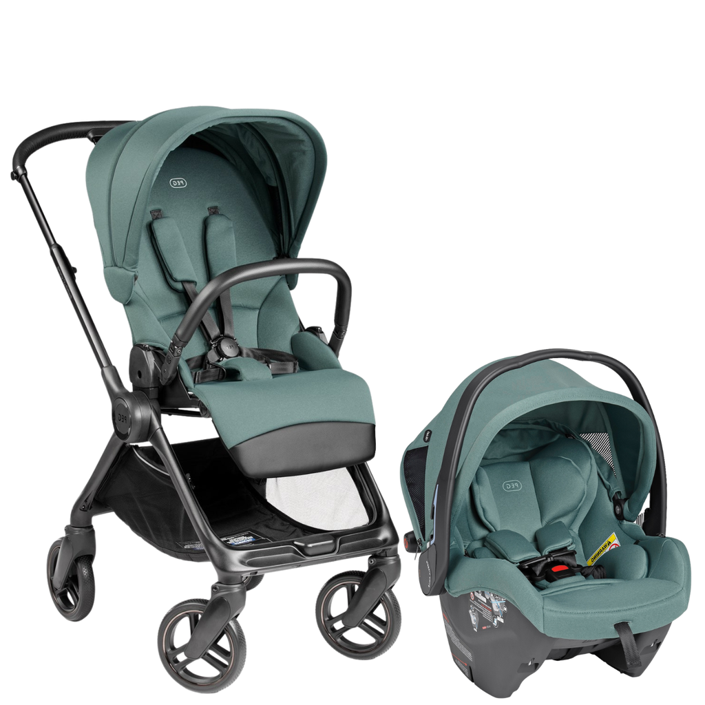 Switch Modular Stroller + Primo Viaggio Nido Car Seat